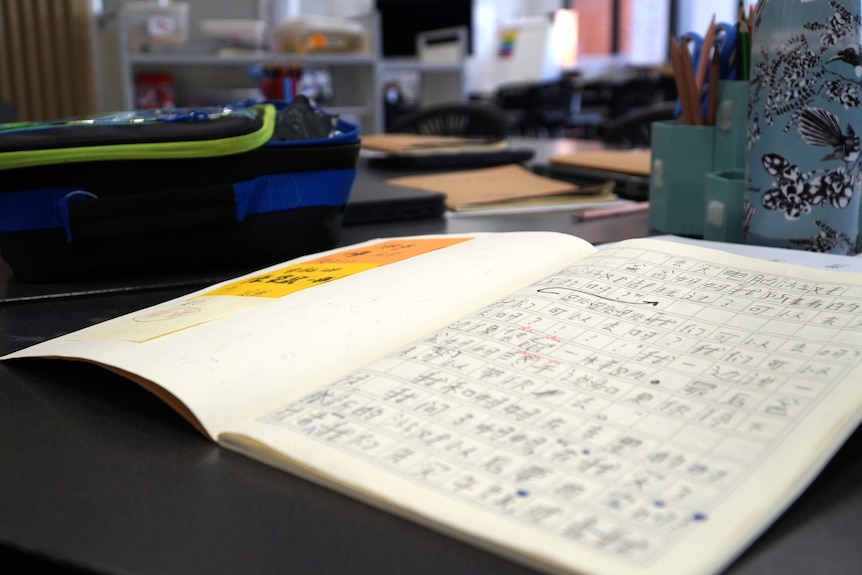 An open book filled with Chinese characters