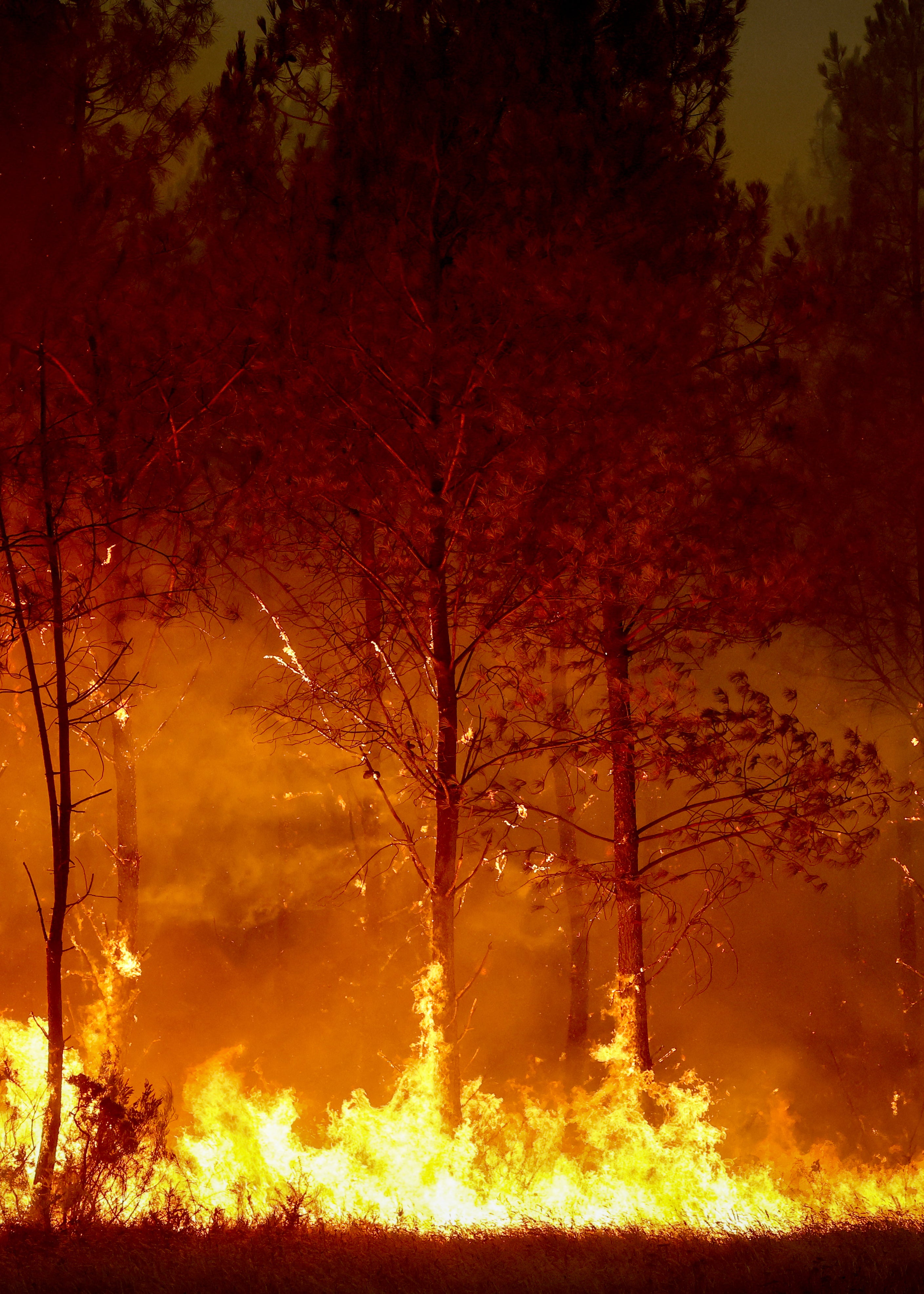 A forest fire rages in Saint-Jean-d'Illac, some 30km from Bordeaux