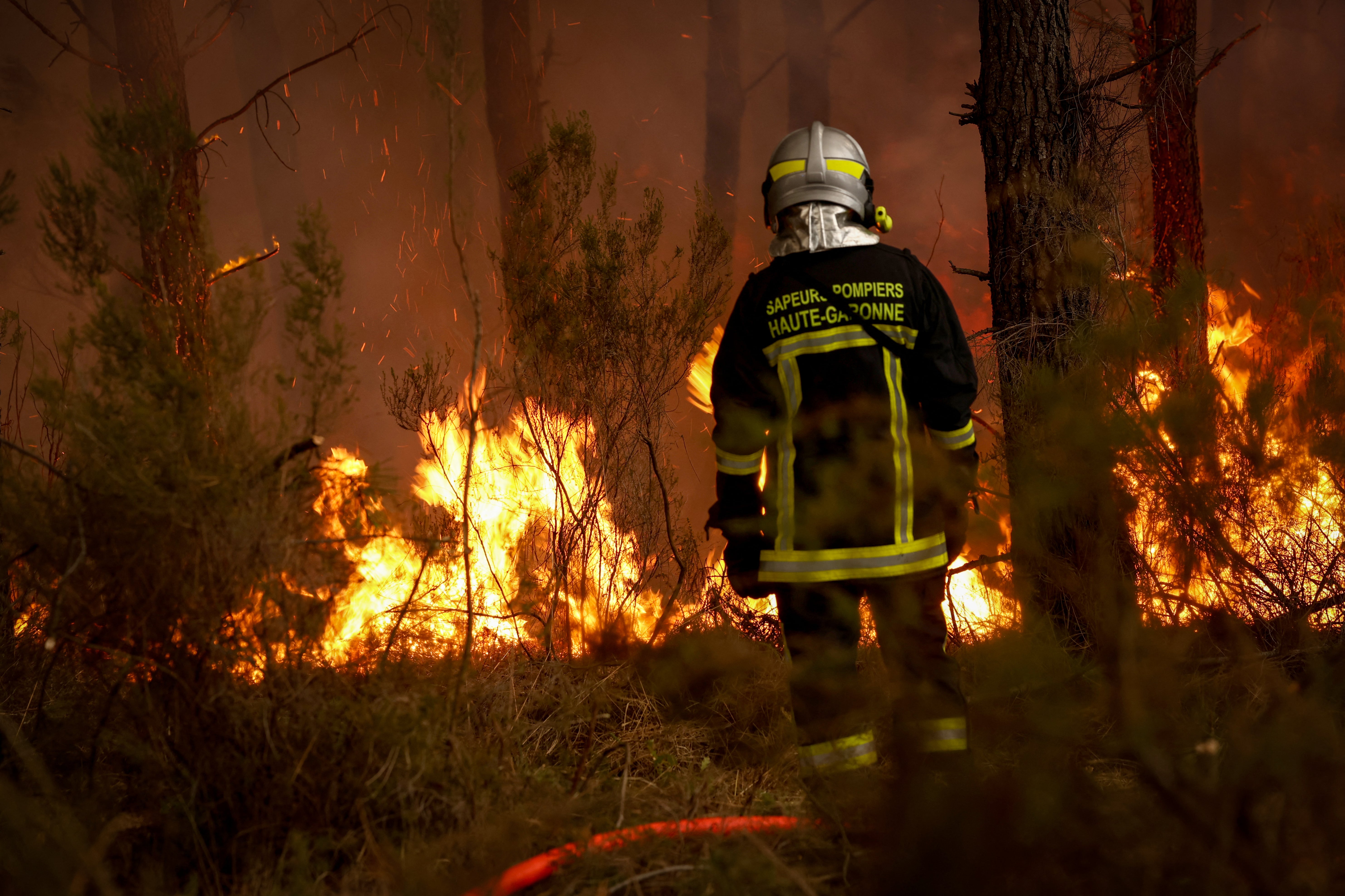 A firefighter stands before flames as a forest fire rages in Saint-Jean-d'Illac