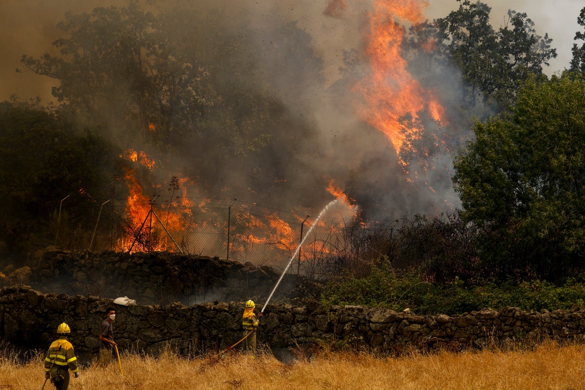 Europe wildfires latest: Fires just 15km from Bordeaux as officials consider ‘total evacuation of city if necessary’