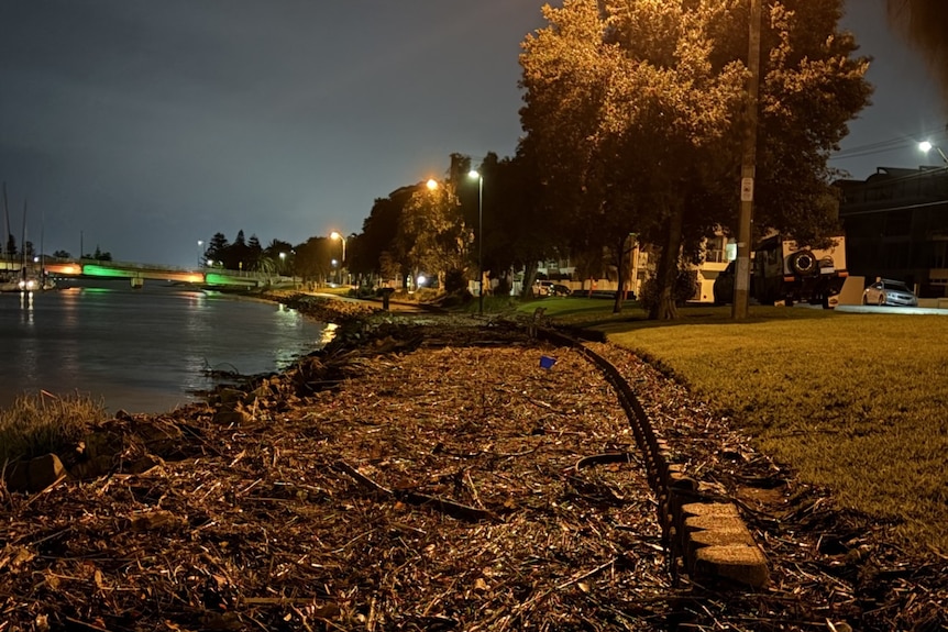 Branches, twigs and debris cover the path along a river at night