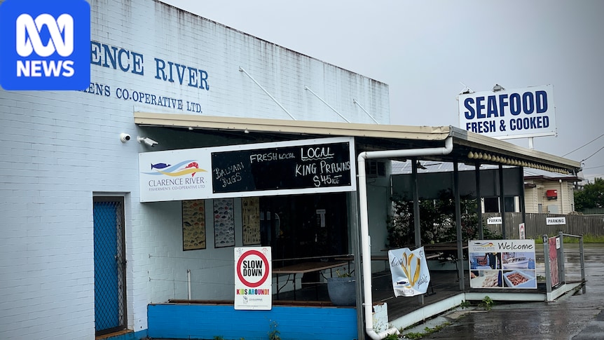 Maclean's fishing co-op site to be sold amid white spot disease fallout