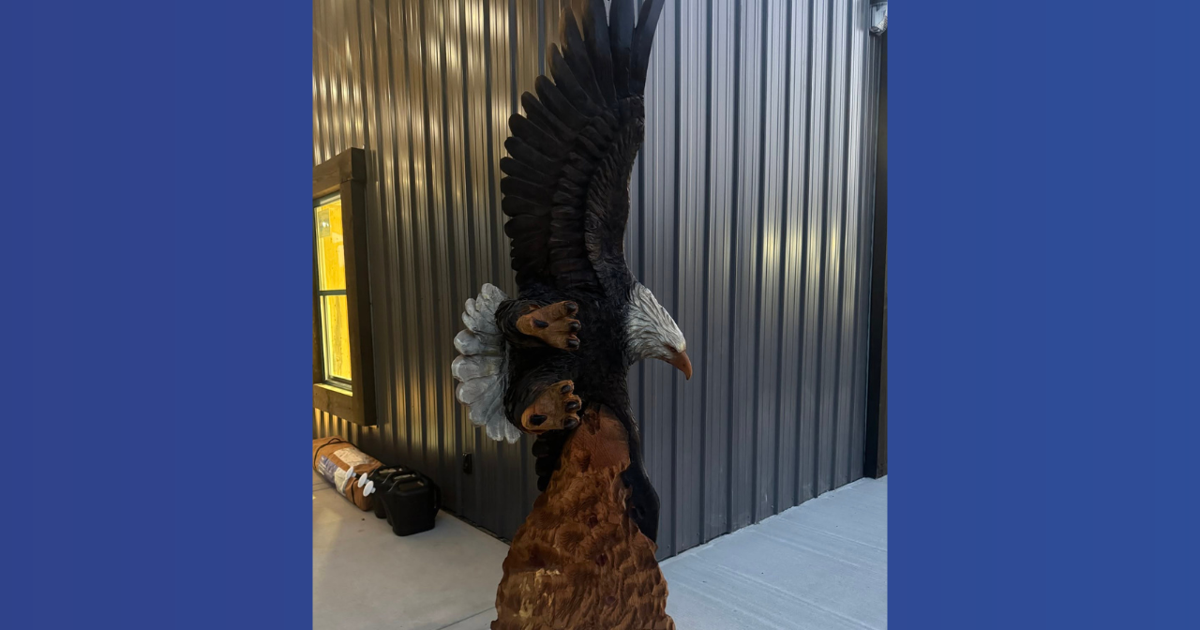"Just bring it back" Catoosa County business owners plead for bald eagle statue to be returned before America's 250th celebration | Local News
