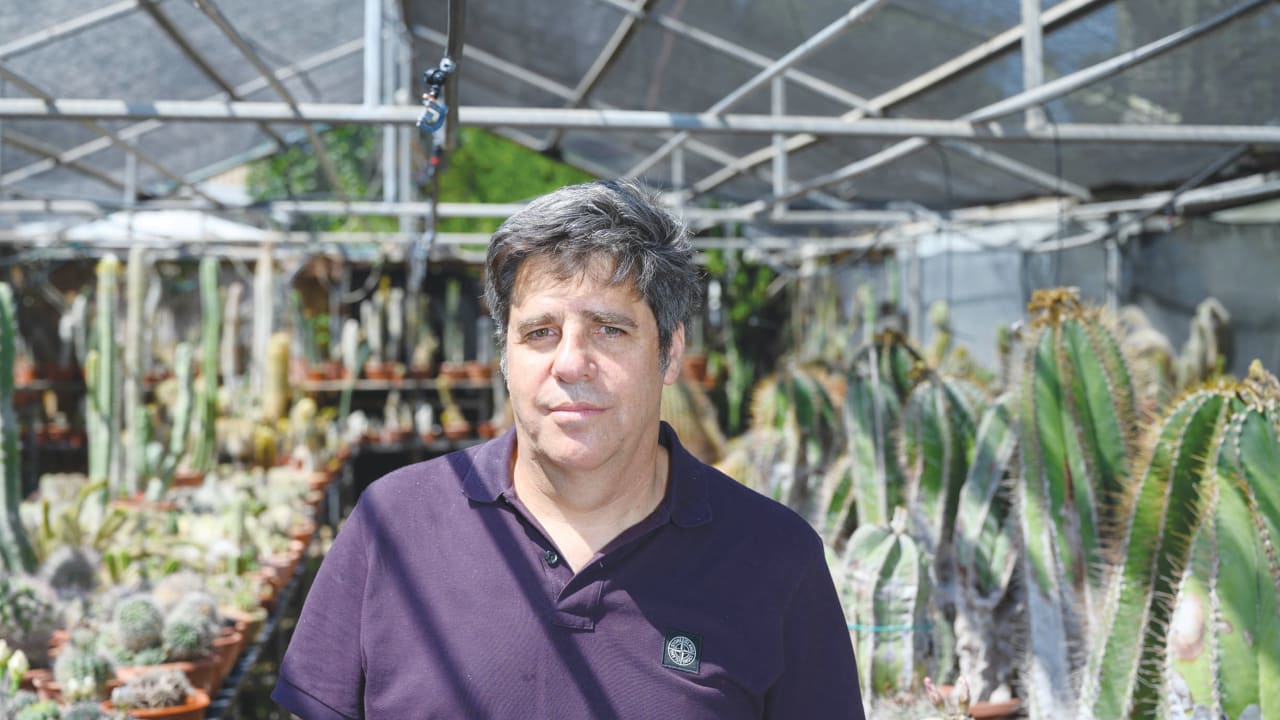 The Jerusalem Post - Israel News