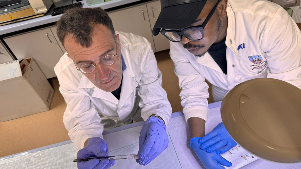 A global health academic partnership flourishes in Botswana