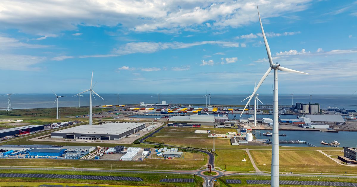 EU risks losing ground to China in race to produce green…