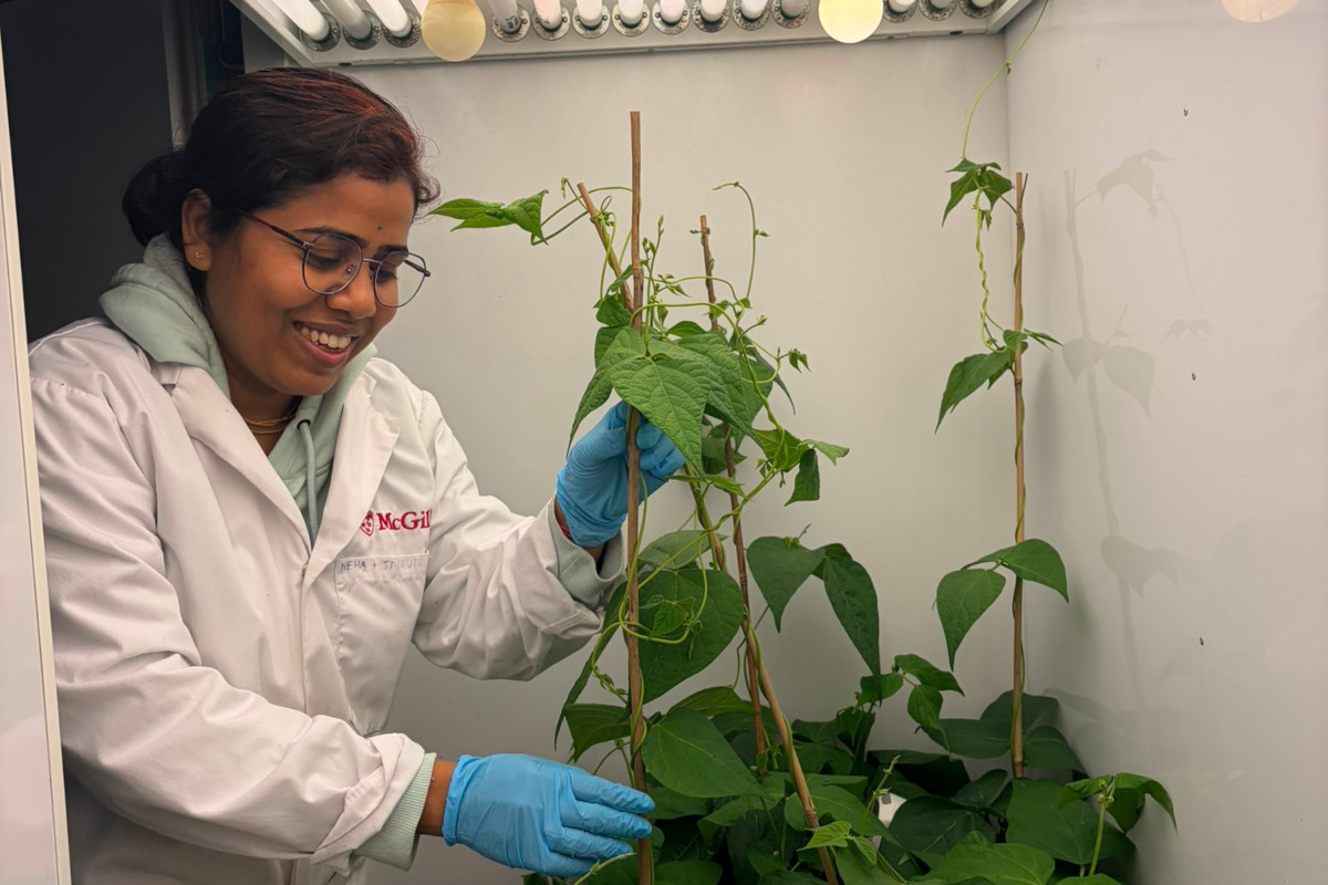 Climate Change is Rewriting the Rules of Disease Resistance. Neha Paserkar Wants Plant Breeders Ready