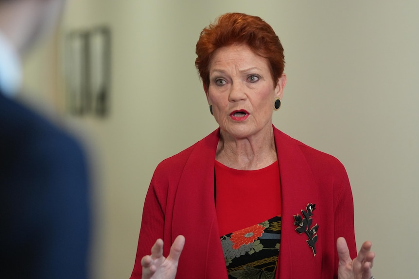 Pauline Hanson in red speaking with reporter in foreground.