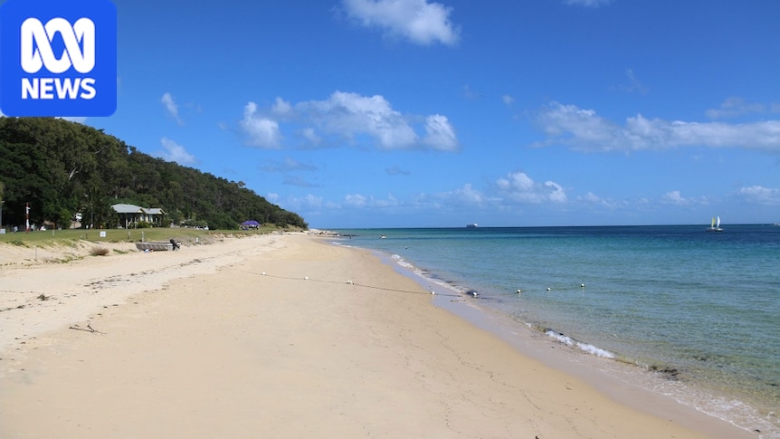 First suspected positive case of H5 bird flu detected in Queensland