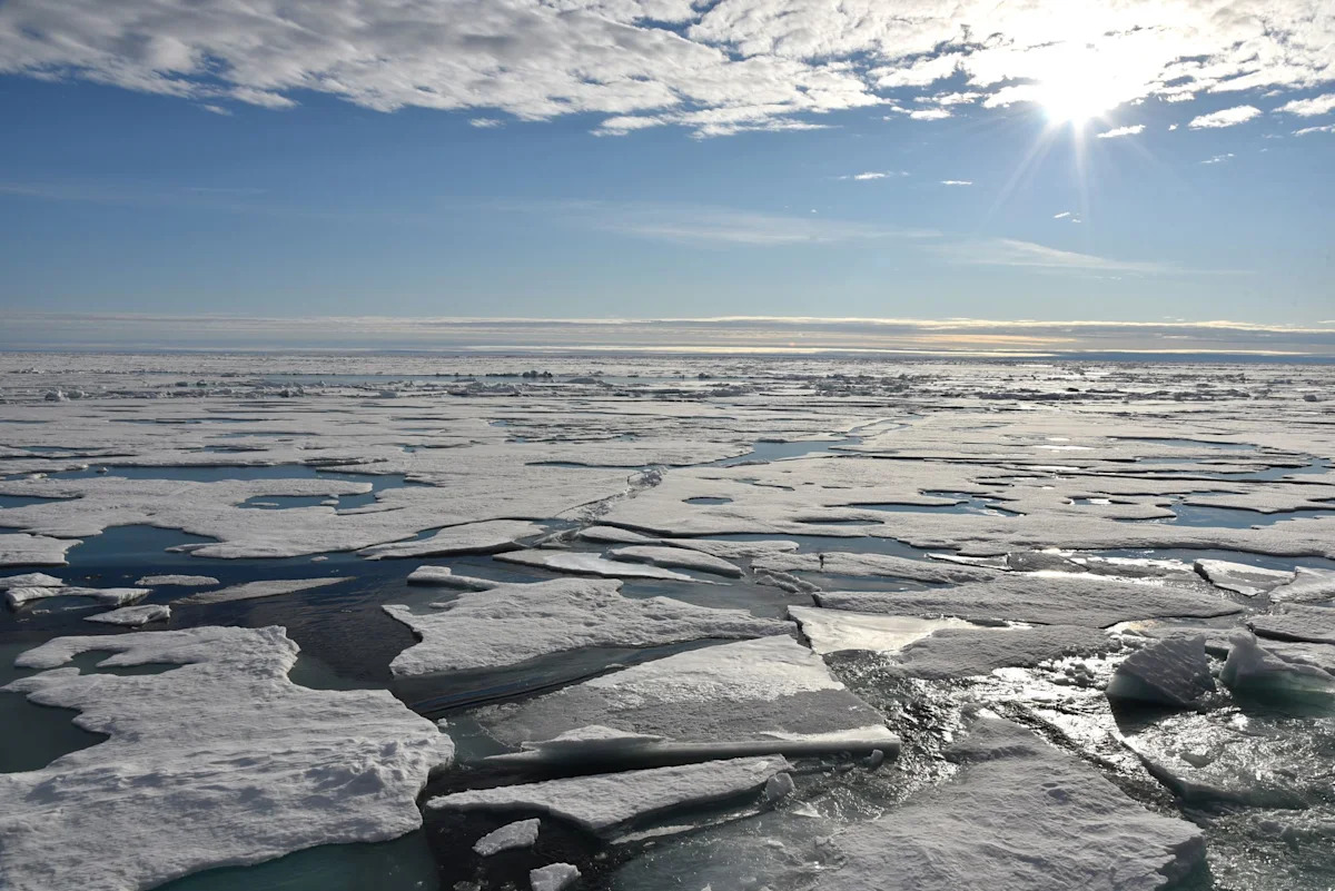 Arctic winter sea ice back in rapid decline, say scientists