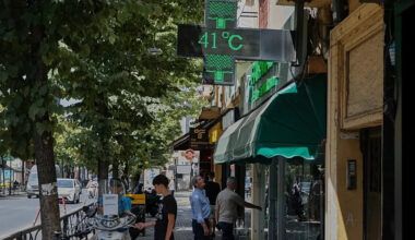 Europe's heatwaves are fuelling infectious diseases, health agency warns