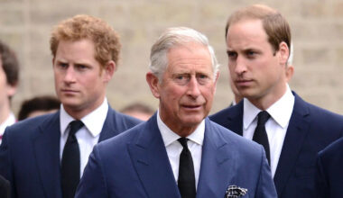 Prince Harry outs the royal family's 'feverish' obsession behind closed doors