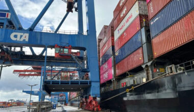 EU trade with US hits record despite tariff tensions, study shows