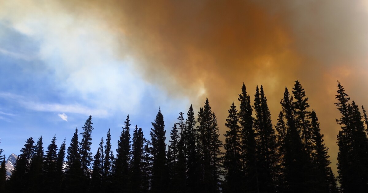 Climate change worsens wildfire conditions in Michigan