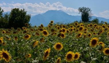 Greece's Mount Olympus aims for UNESCO World Heritage List