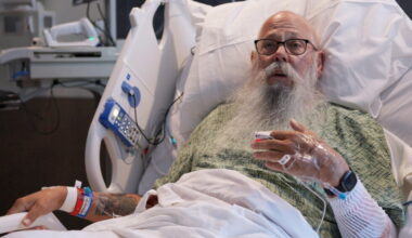 Bison attack in Yellowstone: Grandfather survives campground encounter