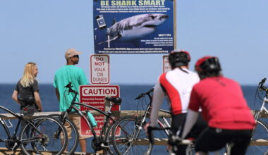 Alabama teen's shark attack inspires national alert system