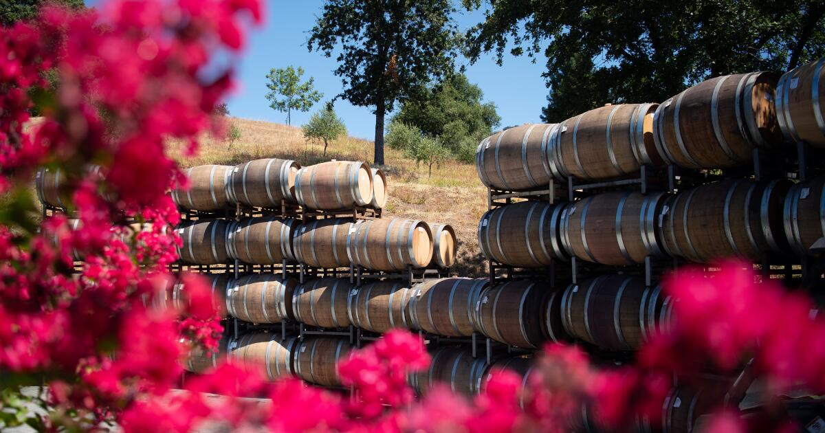 Tariff war with Canada is hurting California's wine industry