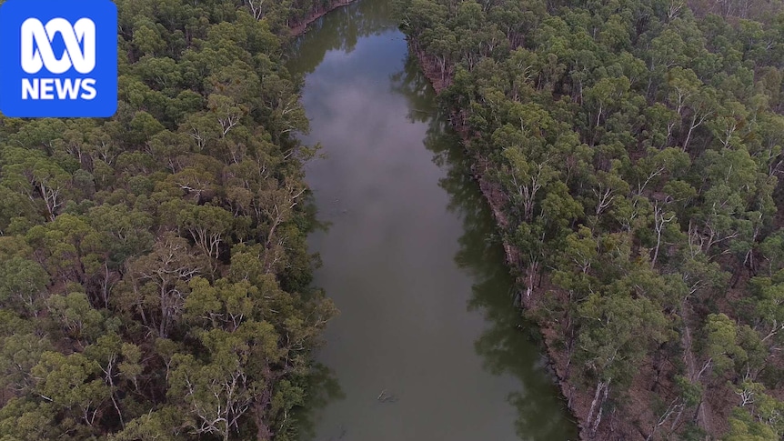 Murray-Darling Basin Authority wins $1.5-billion class action