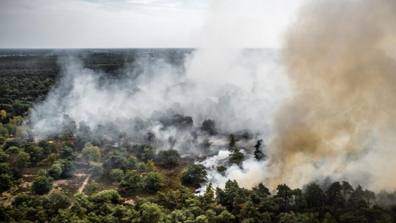 Firefighters battle growing wildfire in southeastern Netherlands