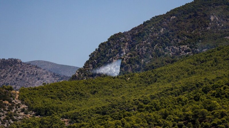 Red alert in Greece: Athens and nearby regions face very high wildfire risk