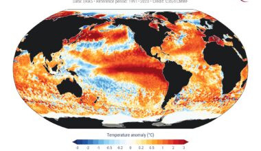 Global ocean heat breaks record set during last El Niño