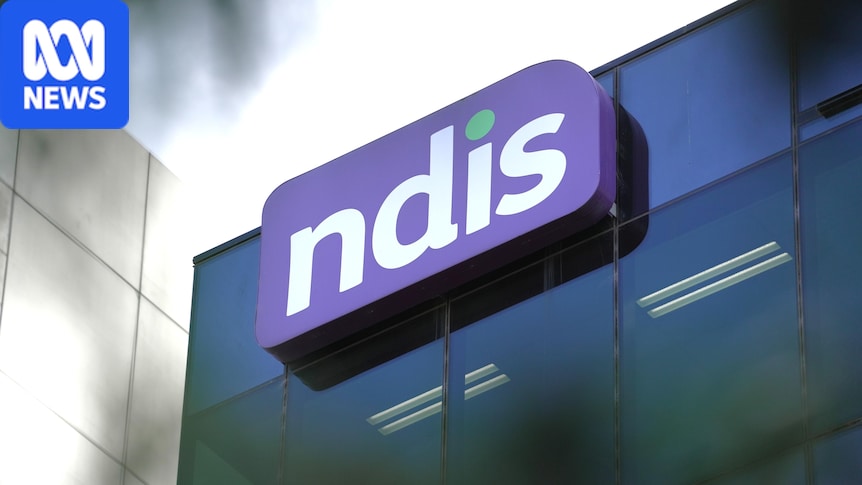 NDIS Senate inquiry hears concerns of carer burnout, slashing of social supports and 'dangerous' ministerial powers