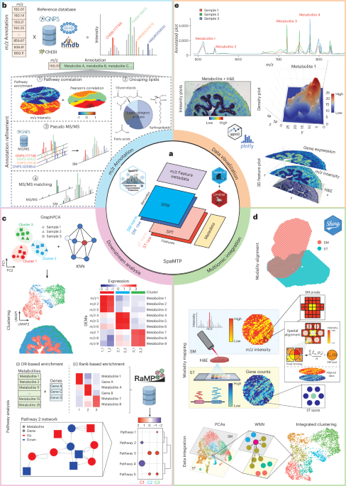 SpaMTP: integrative statistical analysis and visualization of spatial metabolomics and transcriptomics data