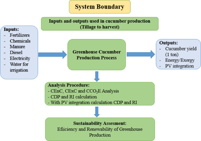 Exergy and environmental sustainability assessment of PV integrated greenhouse cucumber production