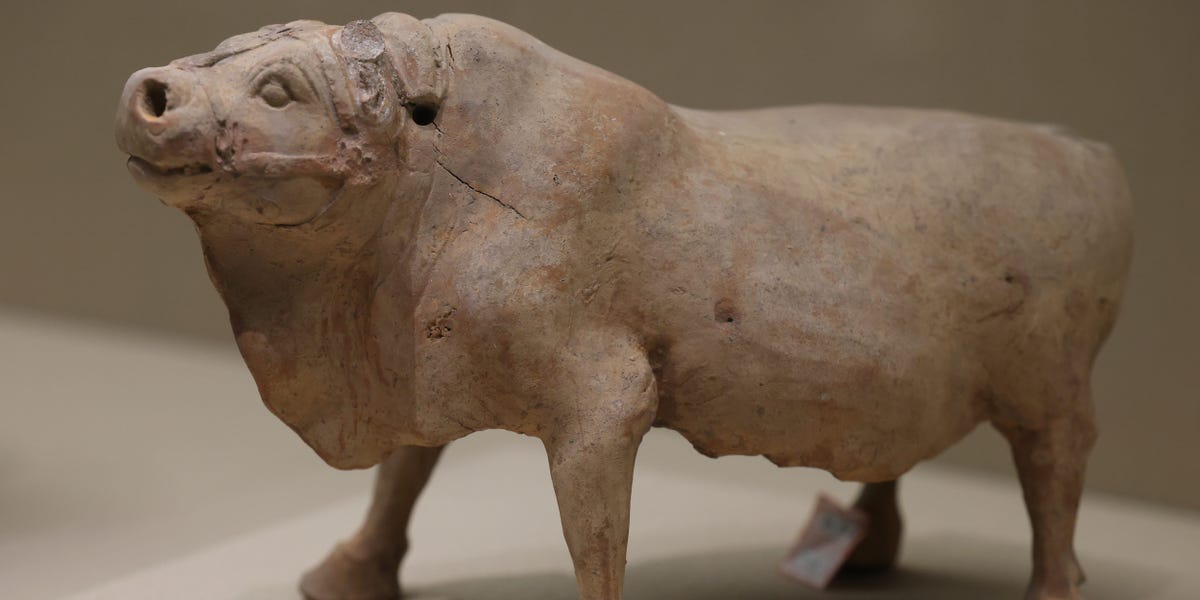 Who Made Ox Alpha? the Mystery AI Is Turning Heads in Silicon Valley.
