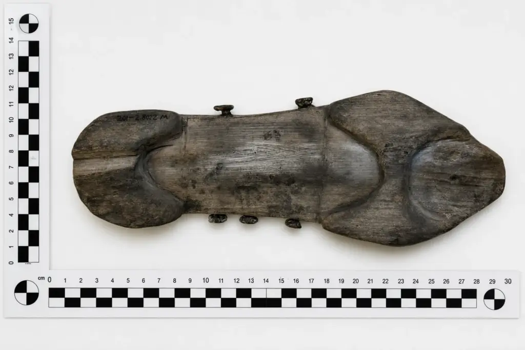 Sculponae