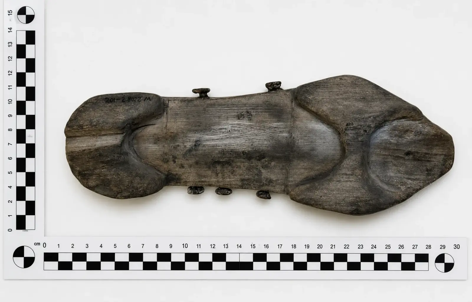 Sculponae