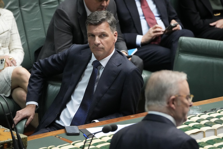 Angus Taylor looks side-on at Anthony Albanese while seated in his chair in parliament.