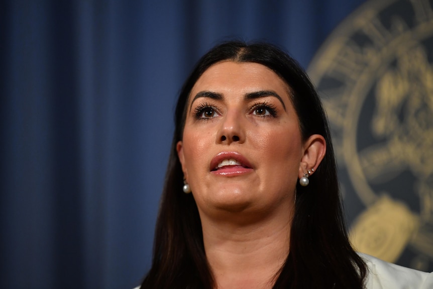 Eleni Petinos addresses the media during a press conference following the handing down of the 2023/24 NSW State Budget