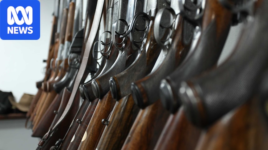 NSW gun buyback scheme to reduce number of firearms after Bondi terror attack