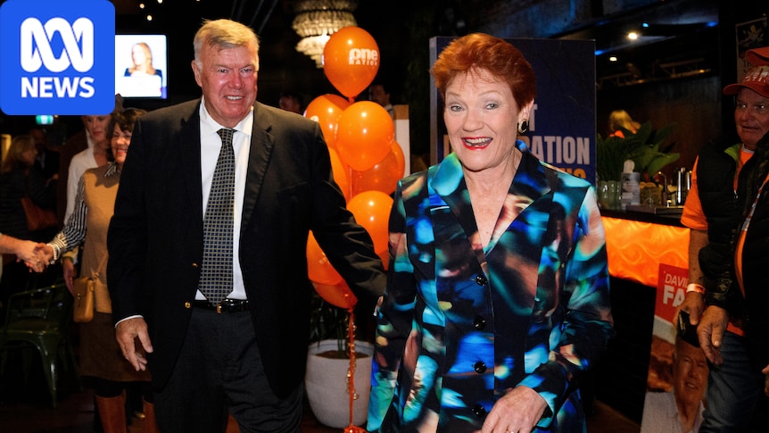 Immigration rates under One Nation will be 'not too different' to Labor, MP says
