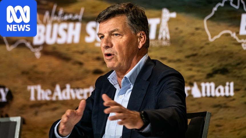 Coalition dragged into migration debate mess