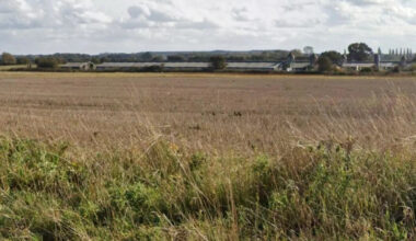 Why this Norfolk farm is scrapping its turkey operation for 2.5m chickens instead