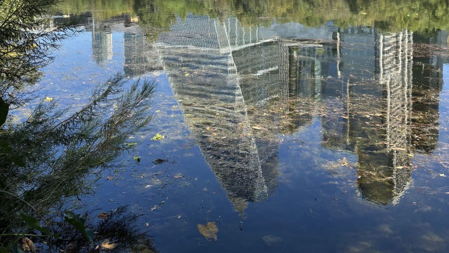 Unsafe levels of fecal bacteria found in majority of Texas waterways, environmental groups say