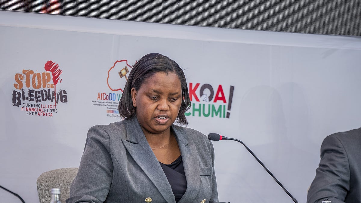 Malawi Says IMF Programmes Must Complement Africa’s Debt Agenda