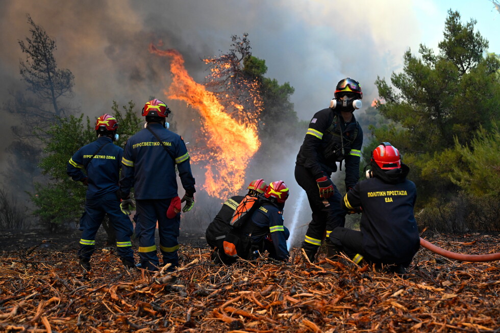 Dry, hot summer takes toll in Europe