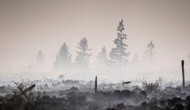 Wildfire still burning in Belgium and Greek authorities investigate deadly blaze