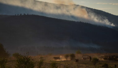 Bradley Creek wildfire destroys some 230 homes in western Canadian Indigenous community near Vernon