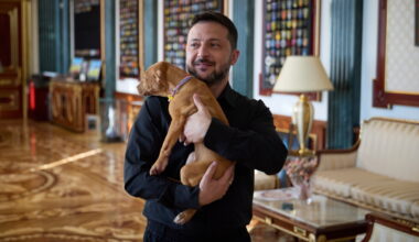 Ukraine's president coos over a puppy, starting a new volley in his war of visuals against Russia