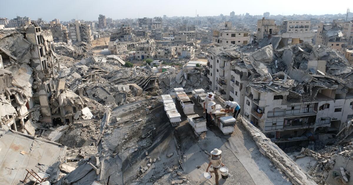 Netanyahu rejects U.S. Gaza peace plan; Houthis strike Saudi oil facility and Yemeni port