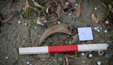Historic levels: Drought-hit Danube gives way to fossil hunt in Bulgaria