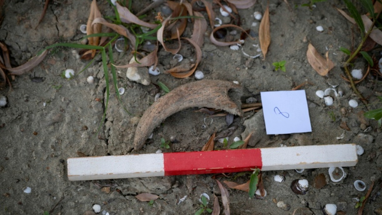 Historic levels: Drought-hit Danube gives way to fossil hunt in Bulgaria