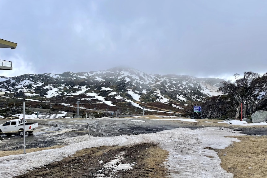 dustings of snow at blue cow