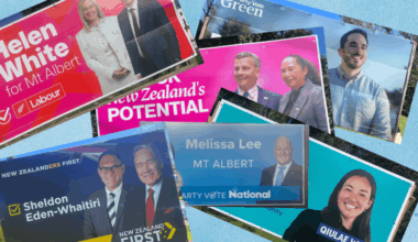 New Zealand’s 2026 election hoardings, ranked and reviewed