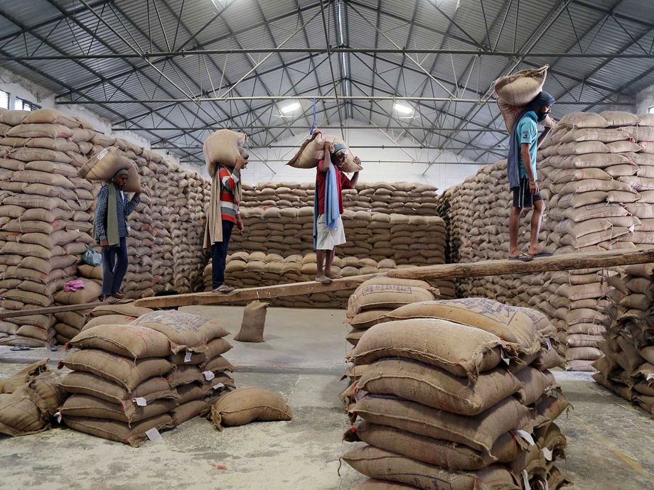 Geopolitical Ripples Redefine International Rice Trade